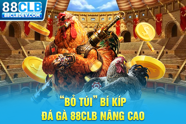 Đá Gà 88CLB Livestream Cockfighting Rực Lửa Hấp Dẫn Mỗi Ngày “Bỏ túi” bí kíp đá gà 88CLB nâng cao