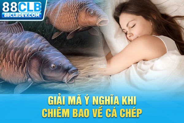 Luận Giải Mơ Thấy Cá Chép Và Gợi Ý Các Con Số May Mắn 2026 Giải mã ý nghĩa khi chiêm bao về cá chép