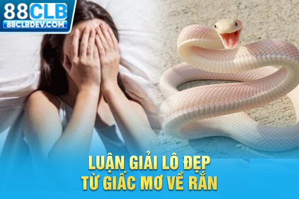 Luận giải lô đẹp từ giấc mơ về rắn