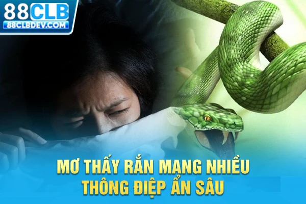 Mơ thấy rắn mang nhiều thông điệp ẩn sâu