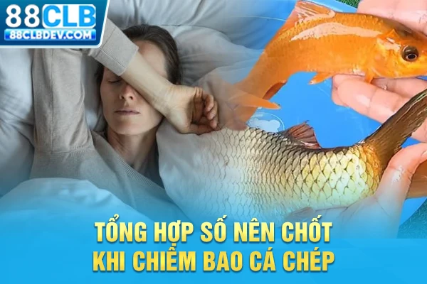 Luận Giải Mơ Thấy Cá Chép Và Gợi Ý Các Con Số May Mắn 2026 Tổng hợp số nên chốt khi chiêm bao cá chép